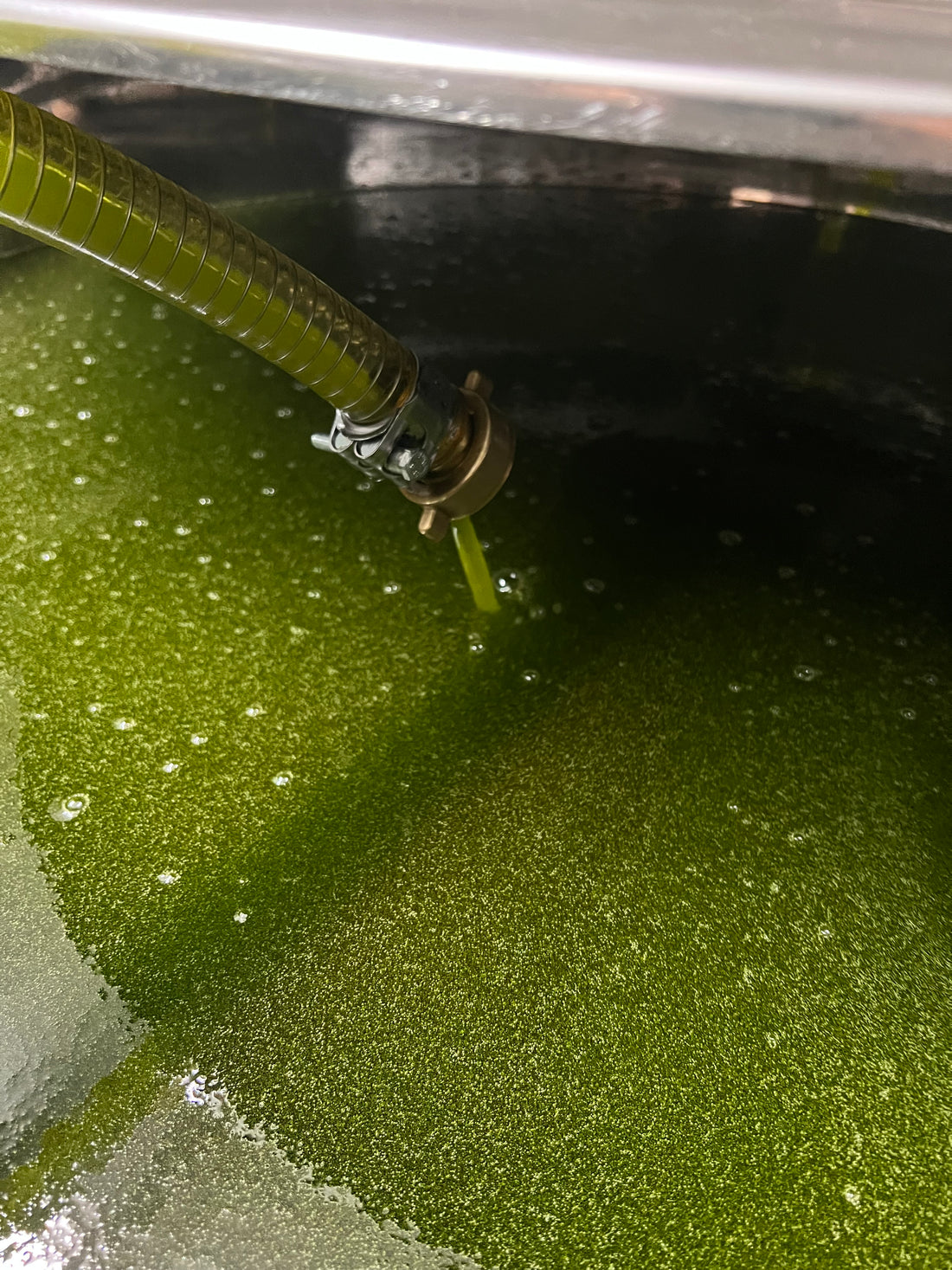 2024: inizia la nostra raccolta dei 150 anni!